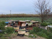 Els pagesos del Baix Llobregat avaluen els danys en hivernacles i infraestructures agràries per demanar ajudes