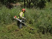 Barcelona arrenca els treballs de manteniment de les zones forestals per a prevenir incendis durant els mesos d’alt risc
