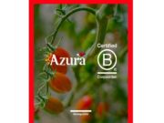 Azura reforça la seva estratègia sostenible amb la certificació B Corp