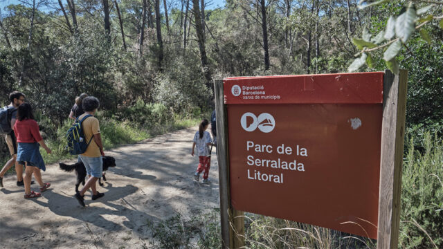 noticia_1782220485.jpg