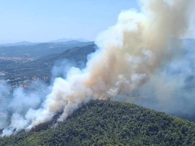 noticia_1783355455.jpg