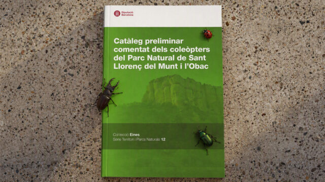 noticia_1793110422.jpg
